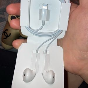 apple earphones